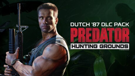 Купить ключ дешево Dutch '87 DLC Pack