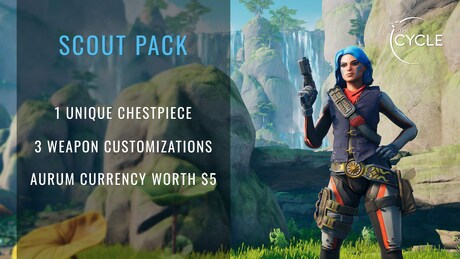 Купить ключ дешево Founder's Pack. Scout Pack