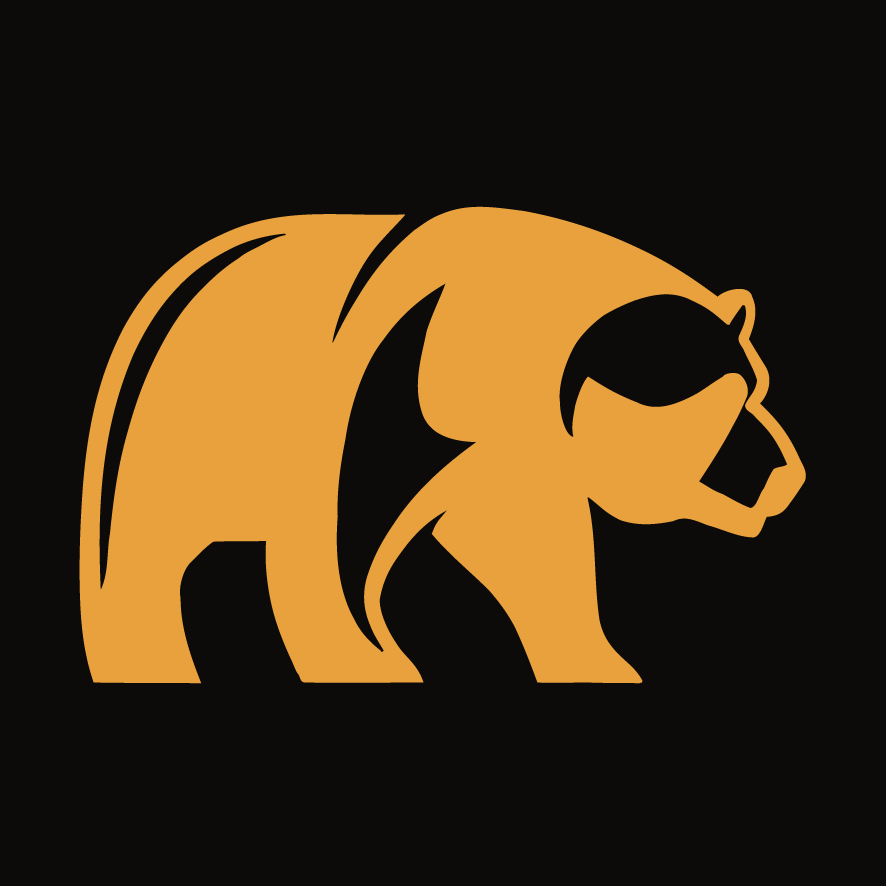3D Bear's avatar