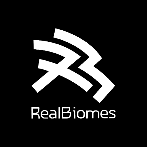 RealBiomes