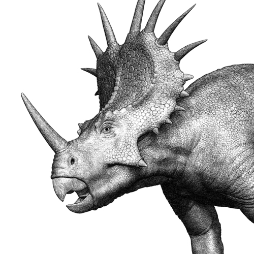 PaleoZen's avatar