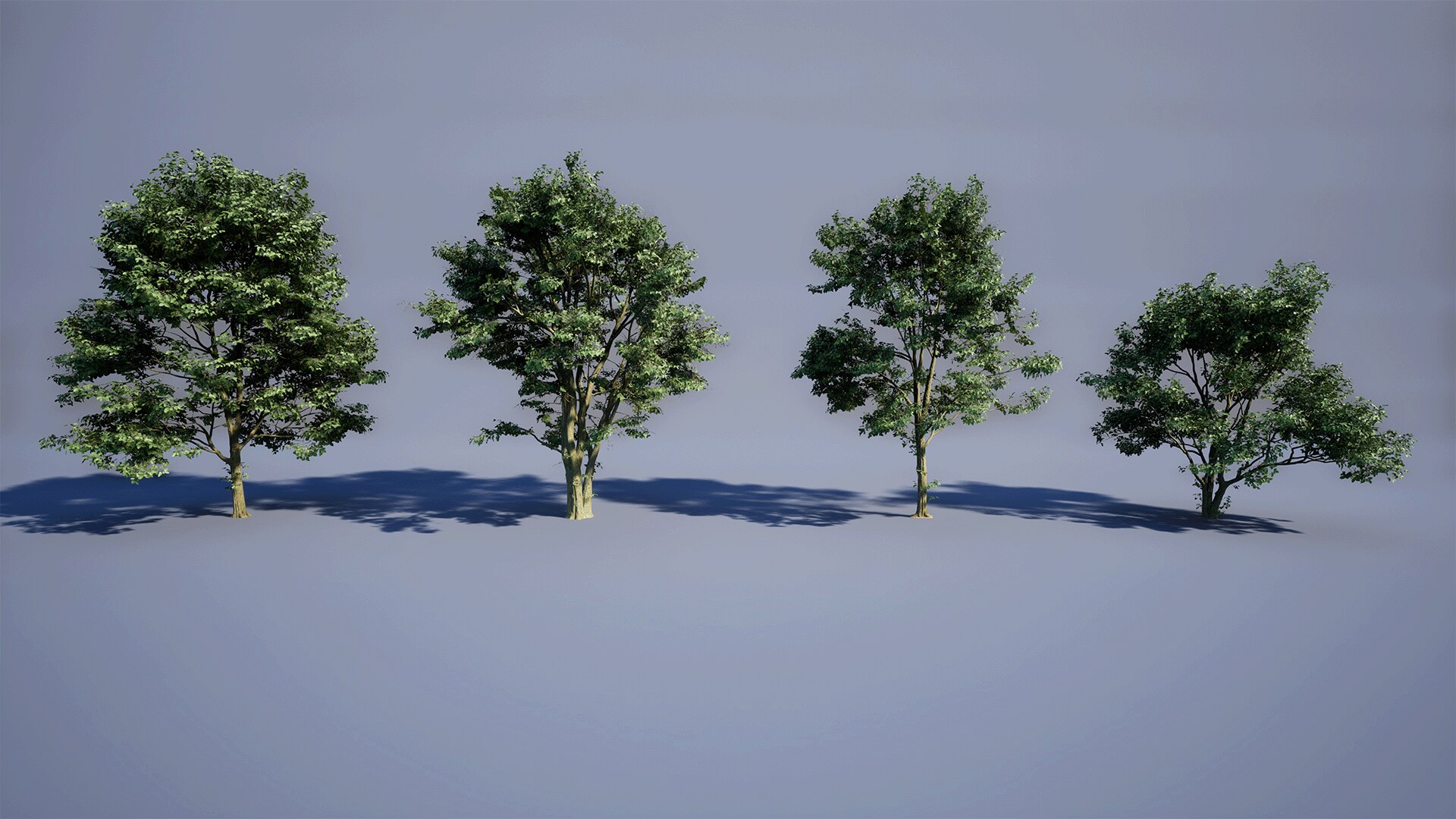 Megascans Trees In Ue5.2 Pcg – Megascans trees wind not working with ...