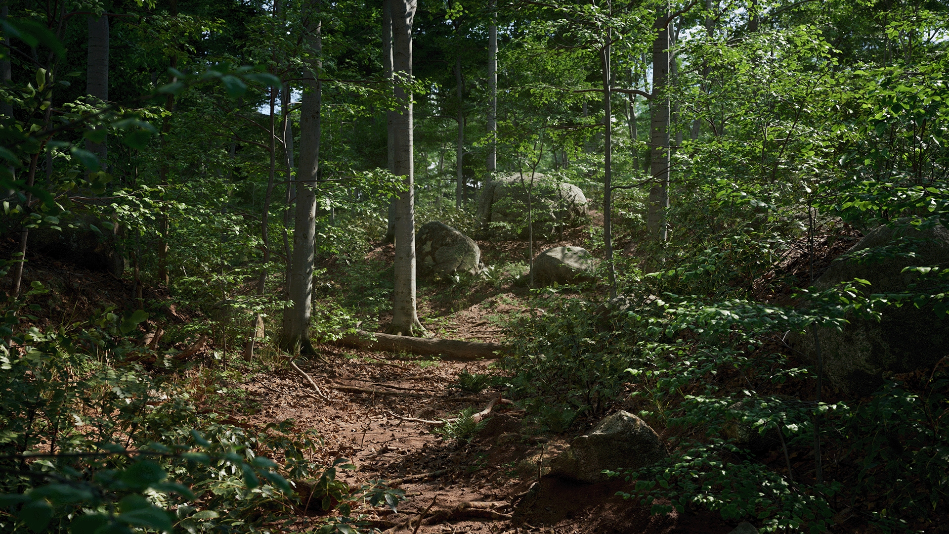 Megascans Trees – Introducing: Megascans Trees – PRWB