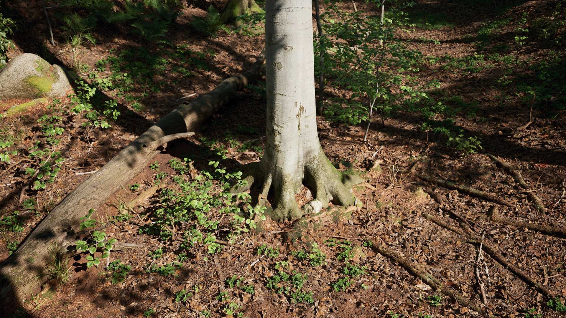 Megascans Trees 1St Look | Megascans material and displacement – ZXSCA