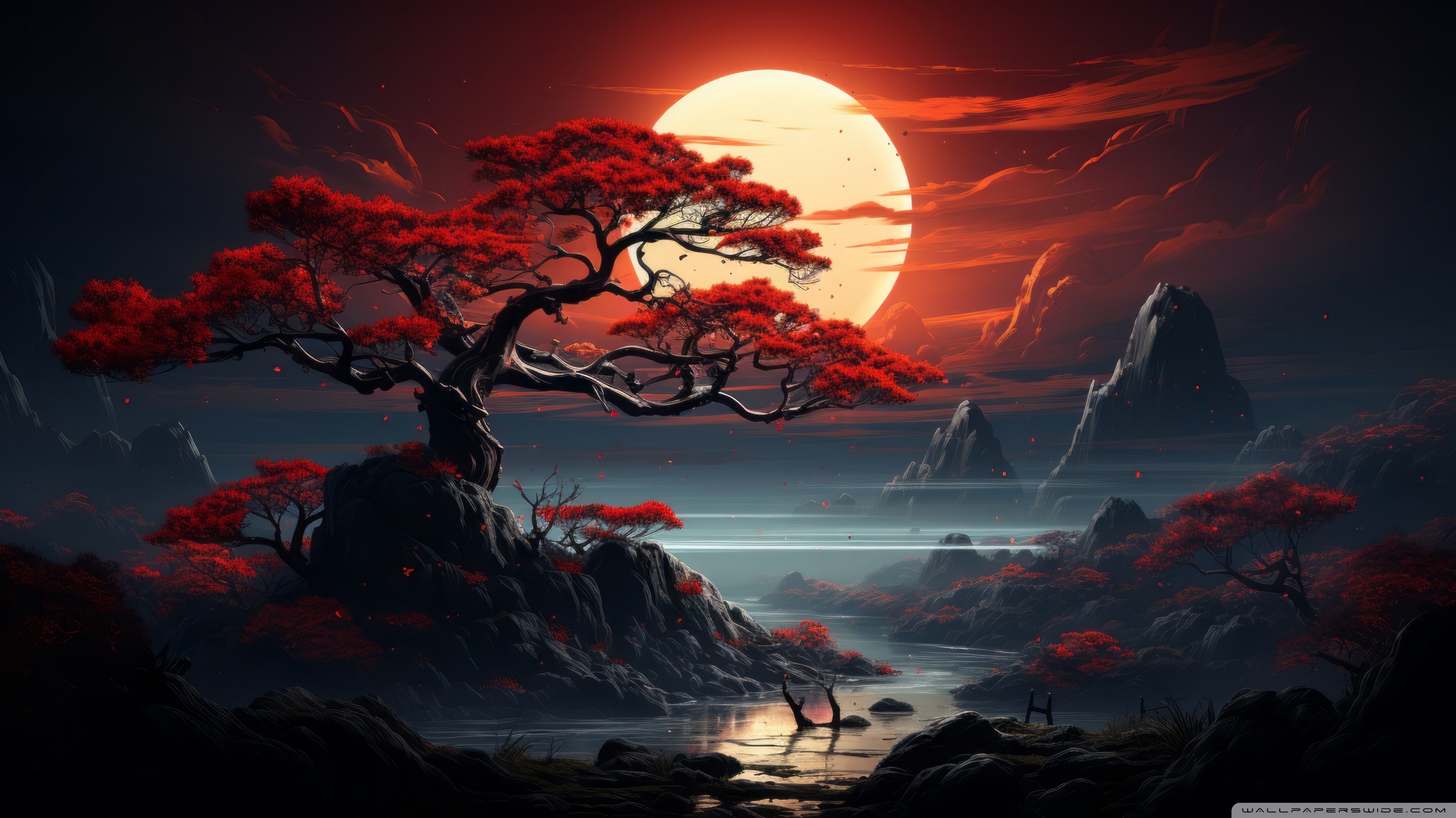 MOD TESTING - OfferImageWide