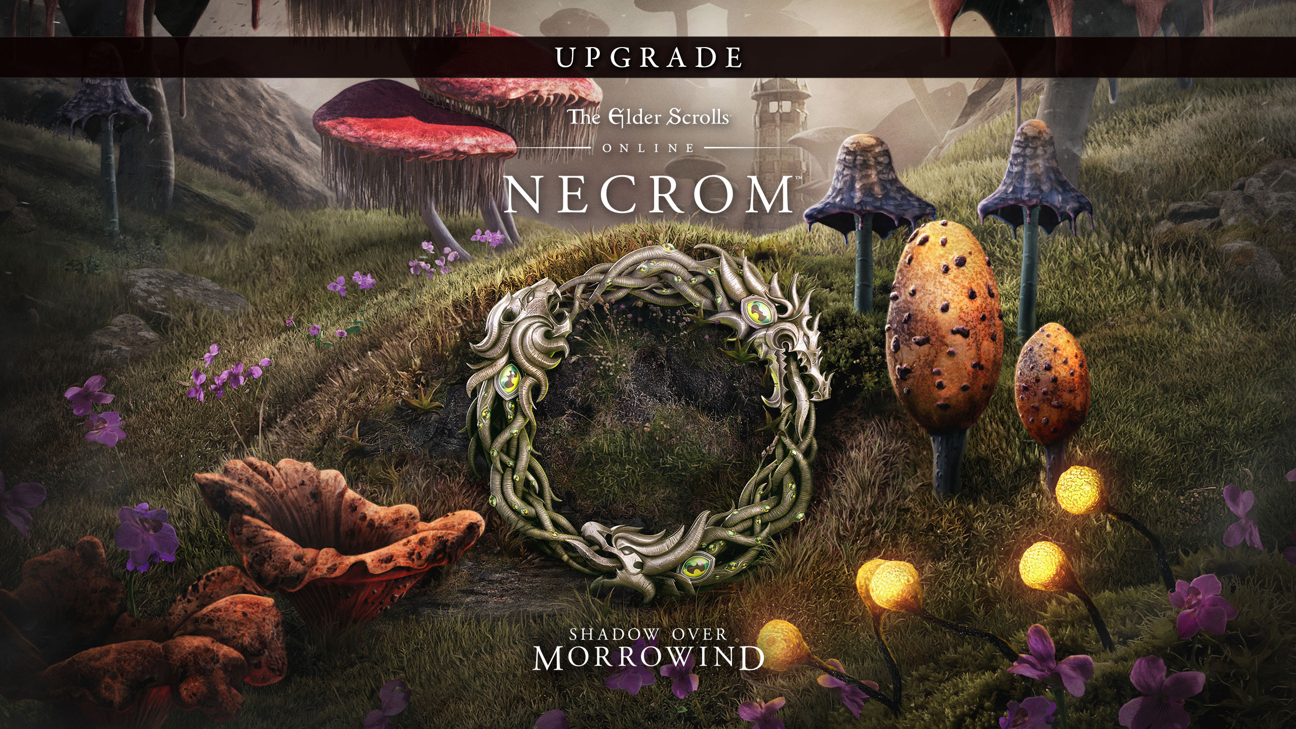 The Elder Scrolls Online Upgrade: Necrom - Epic Games Store