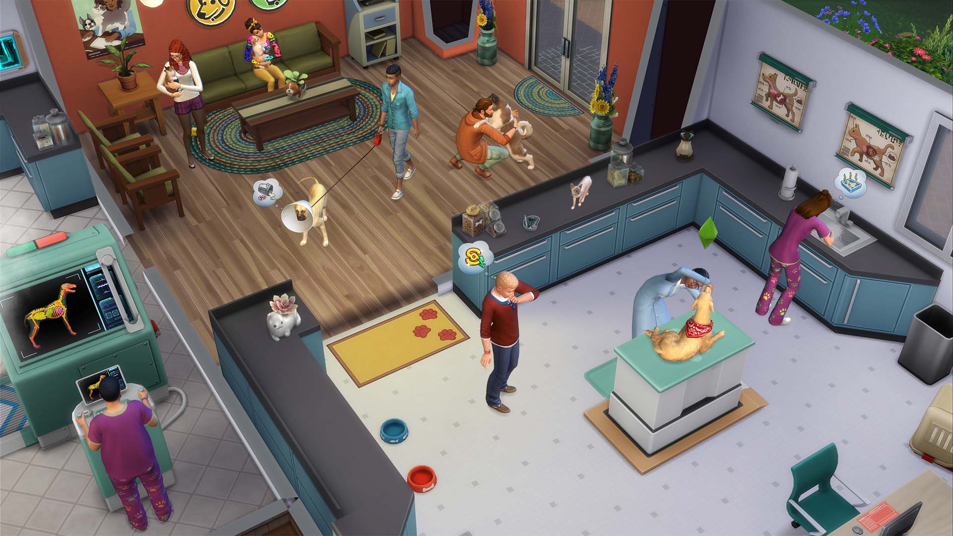 can sim dogs have puppies