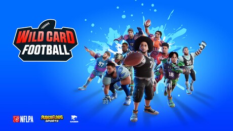 Купить ключ дешево Wild Card Football