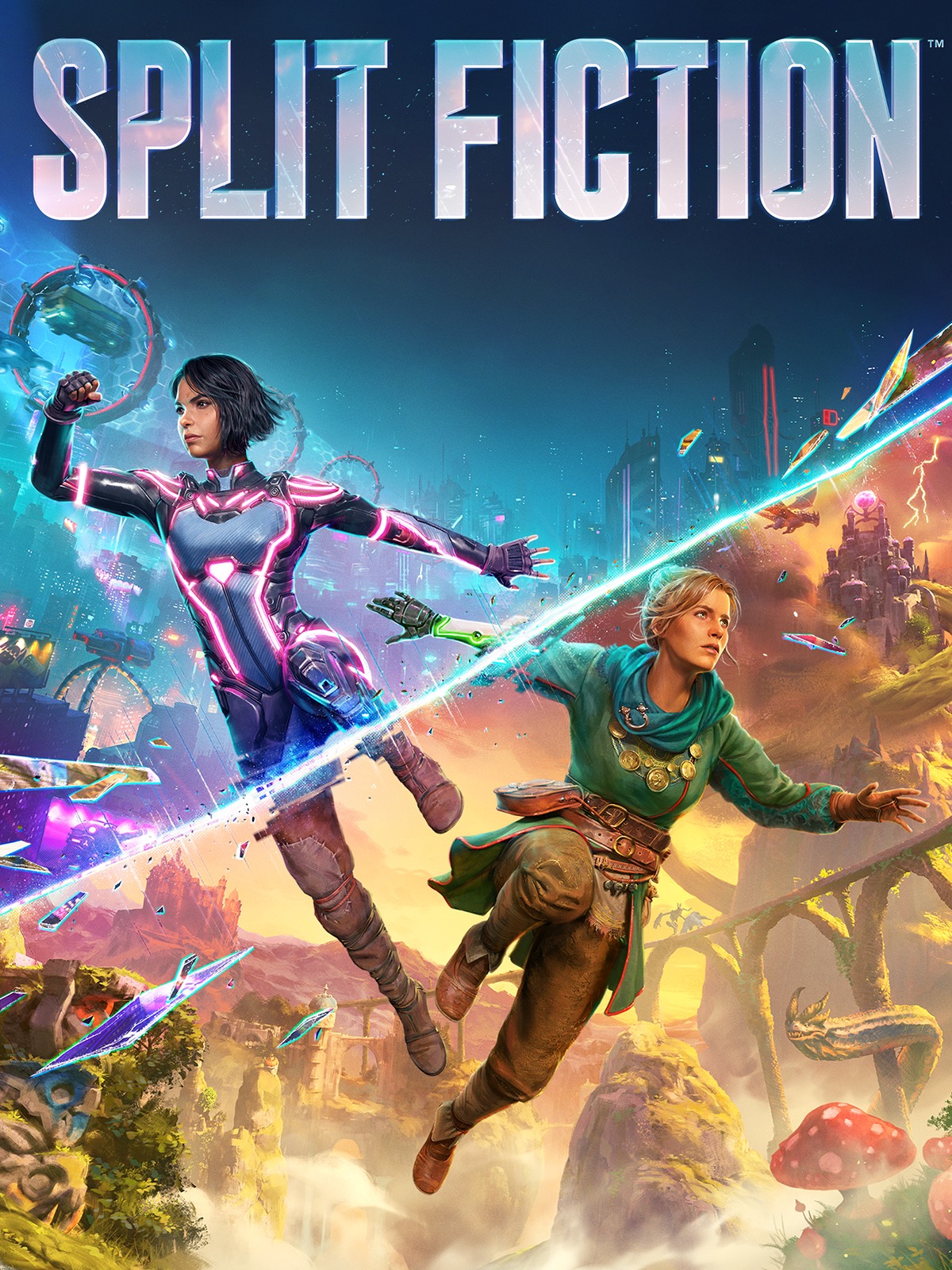 Split Fiction cover image
