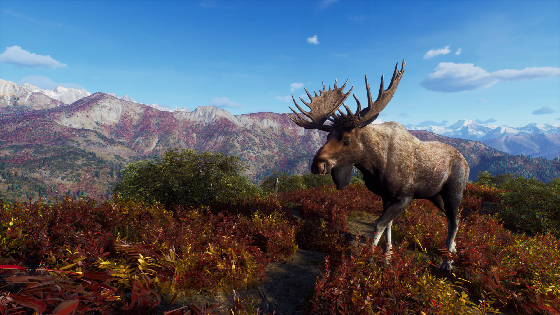 Way of the Hunter – Official Game Site