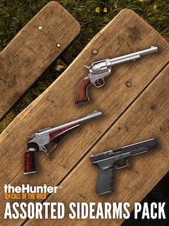 theHunter: Call of the Wild™ - Assorted Sidearms Pack