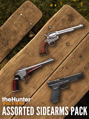 theHunter: Call of the Wild™ - Assorted Sidearms Pack