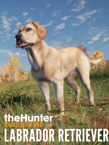 theHunter: Call of the Wild™ - Labrador Retriever