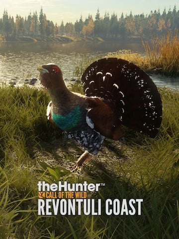 theHunter: Call of the Wild™ - Revontuli coast