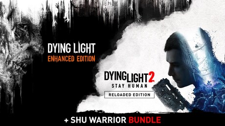 Купить ключ дешево Year of the Dragon Bundle