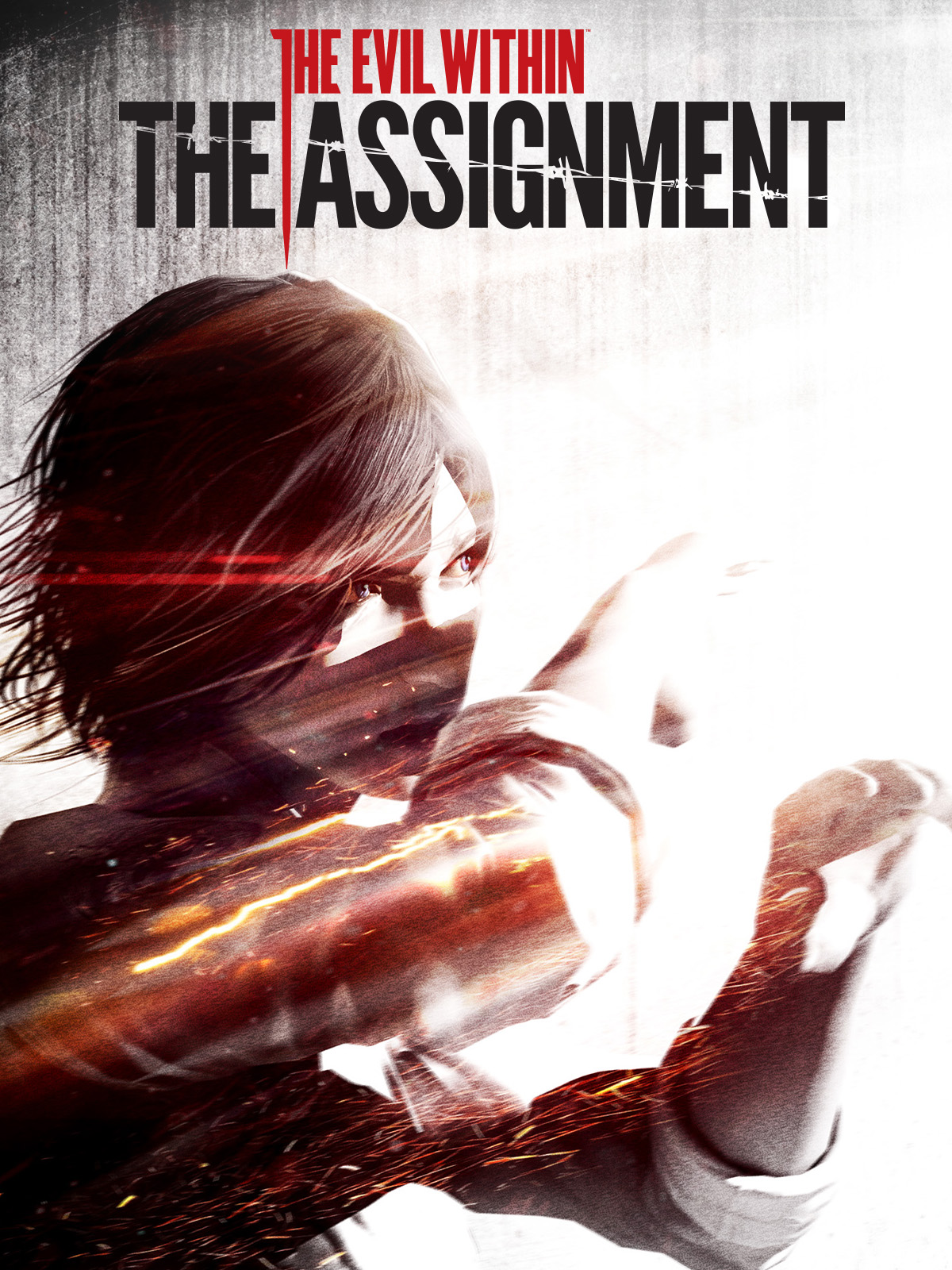 the evil within assignment trainer