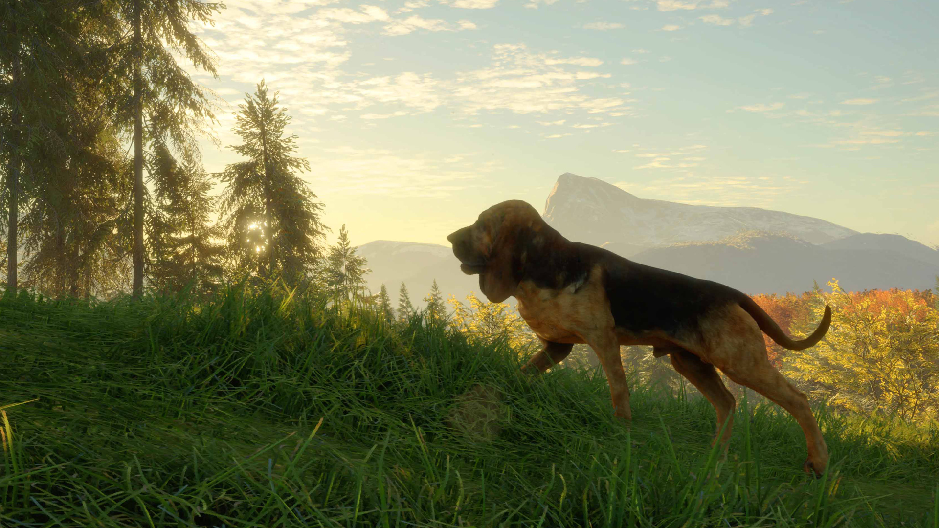 theHunter: Call of the Wild™ - Bloodhound - featuredMedia