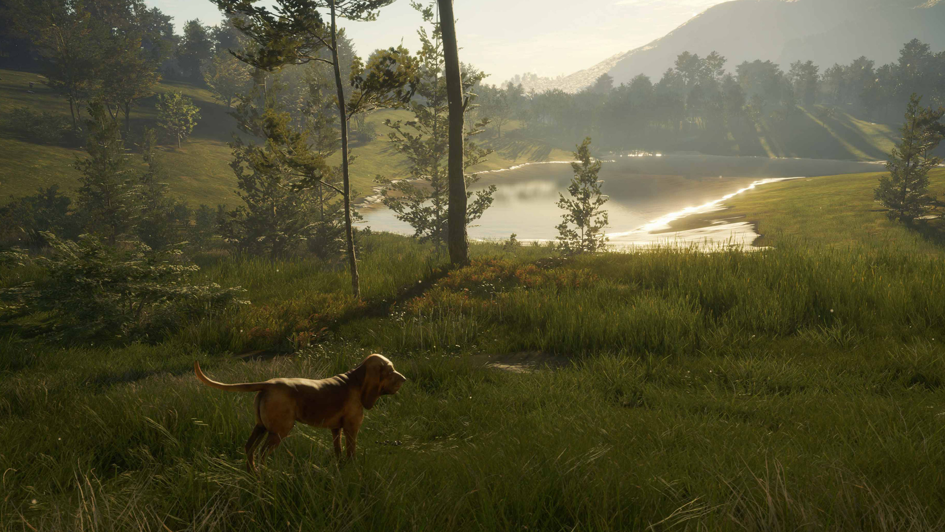 theHunter: Call of the Wild™ - Bloodhound - featuredMedia