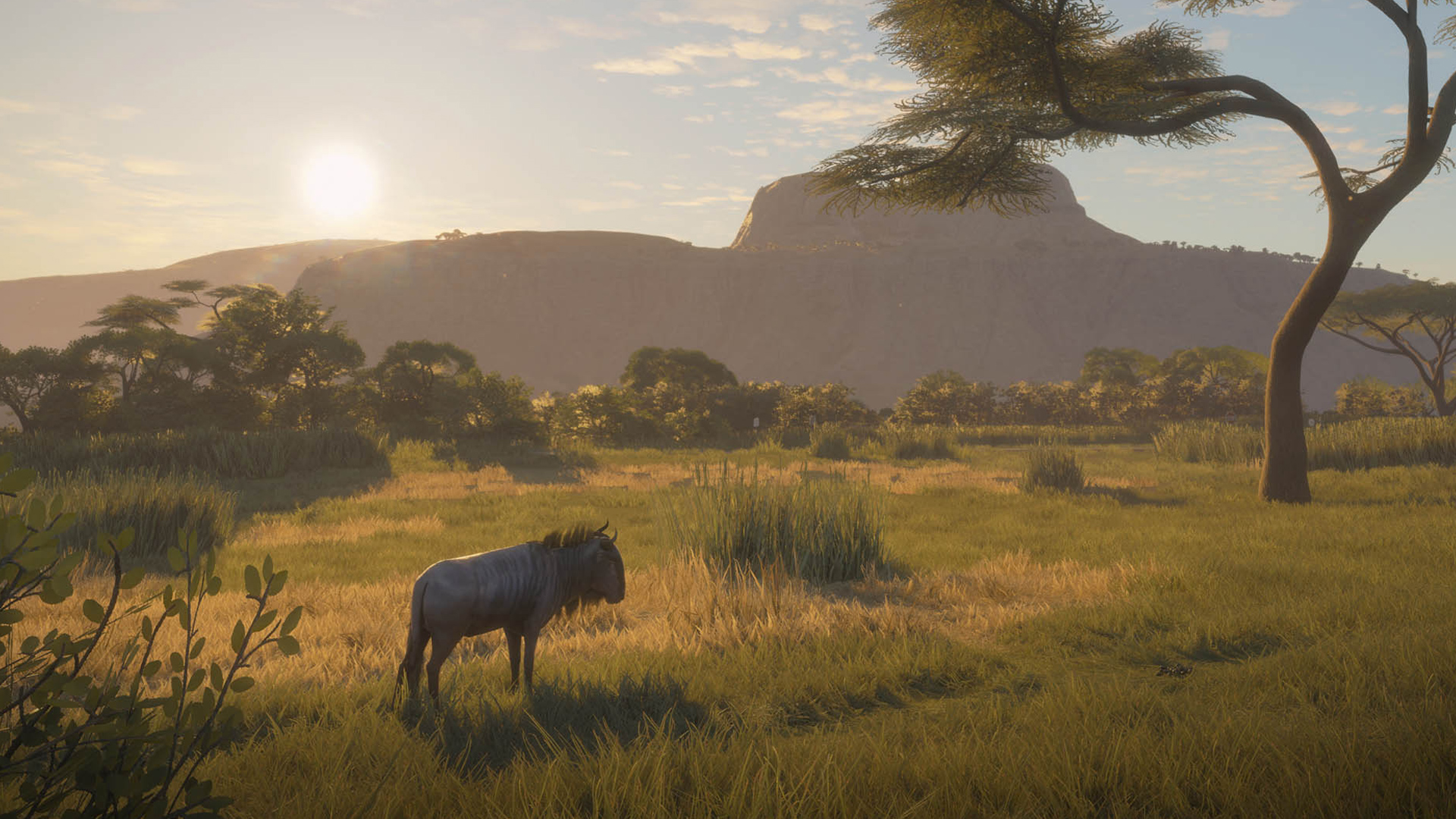 theHunter: Call of the Wild™ - Vurhonga Savanna - featuredMedia