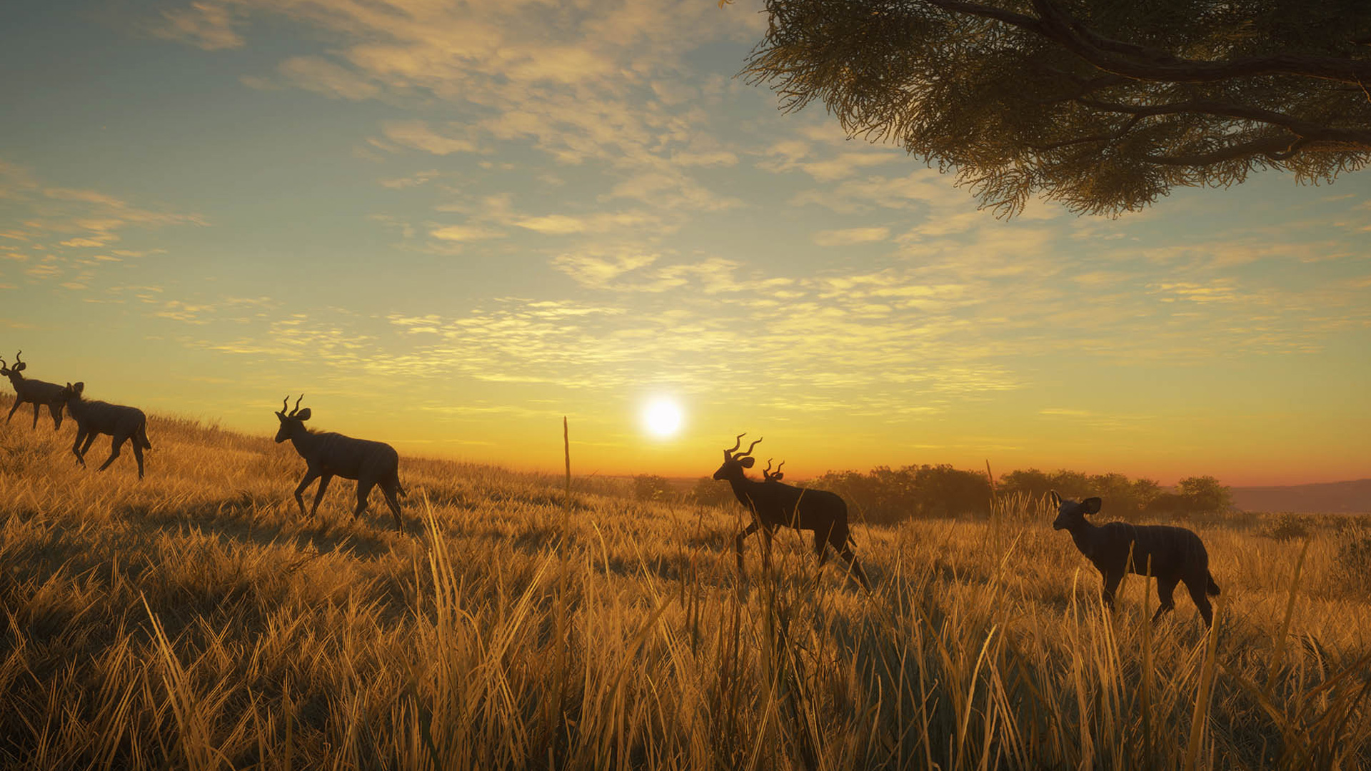 theHunter: Call of the Wild™ - Vurhonga Savanna - featuredMedia