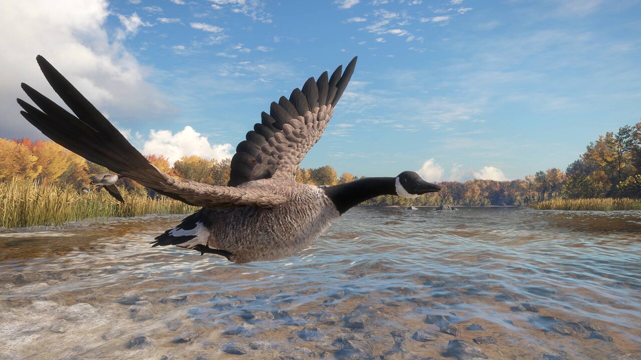 theHunter Call of the Wild™ Wild Goose Chase Gear Epic Games Store