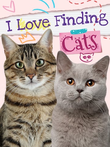 I Love Finding Cats