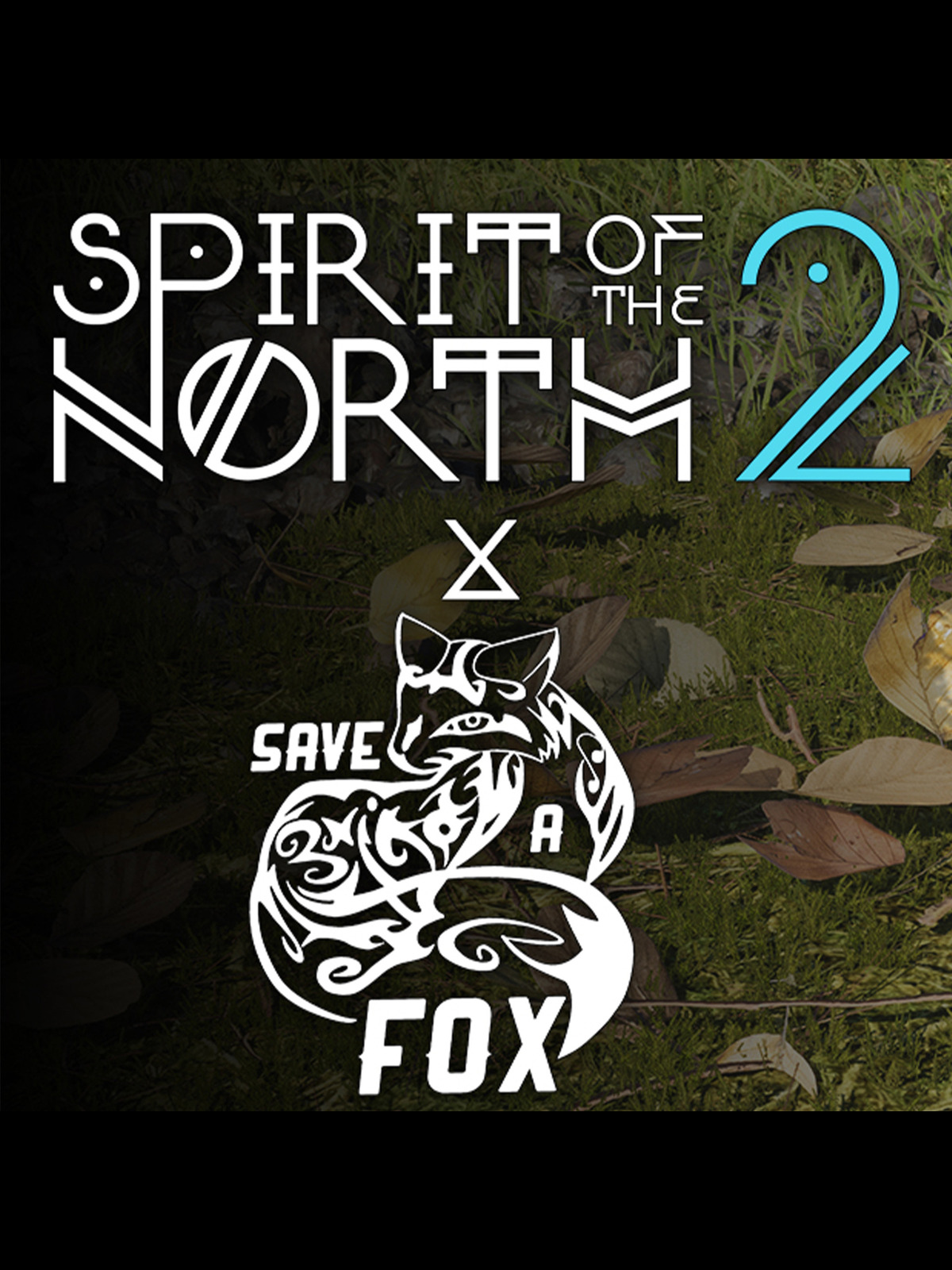 b8be4867-ed78-9026-f9c8-bf0d28bf824e