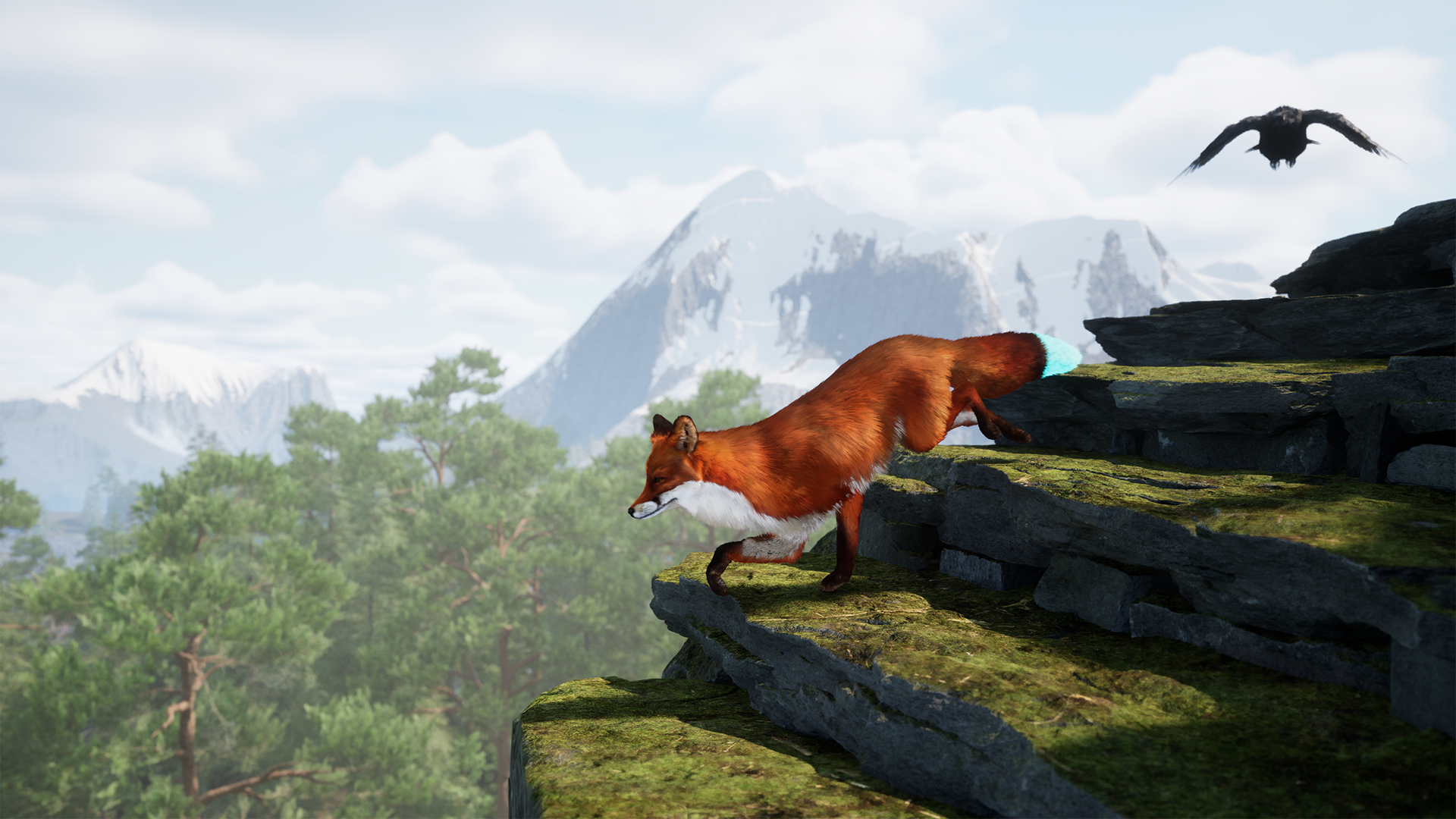 Spirit of the North 2-5ti2j