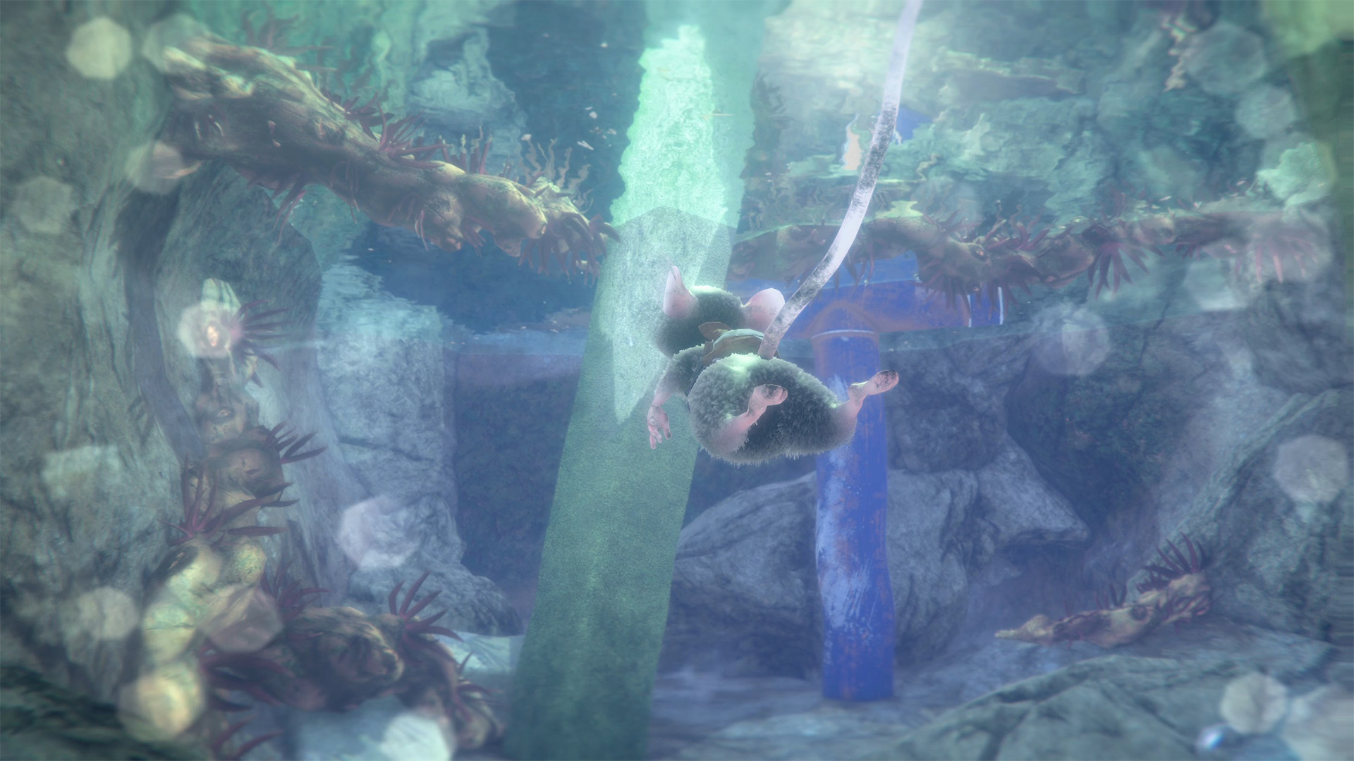 098f6bcd4621d373cade4e832627b4f6