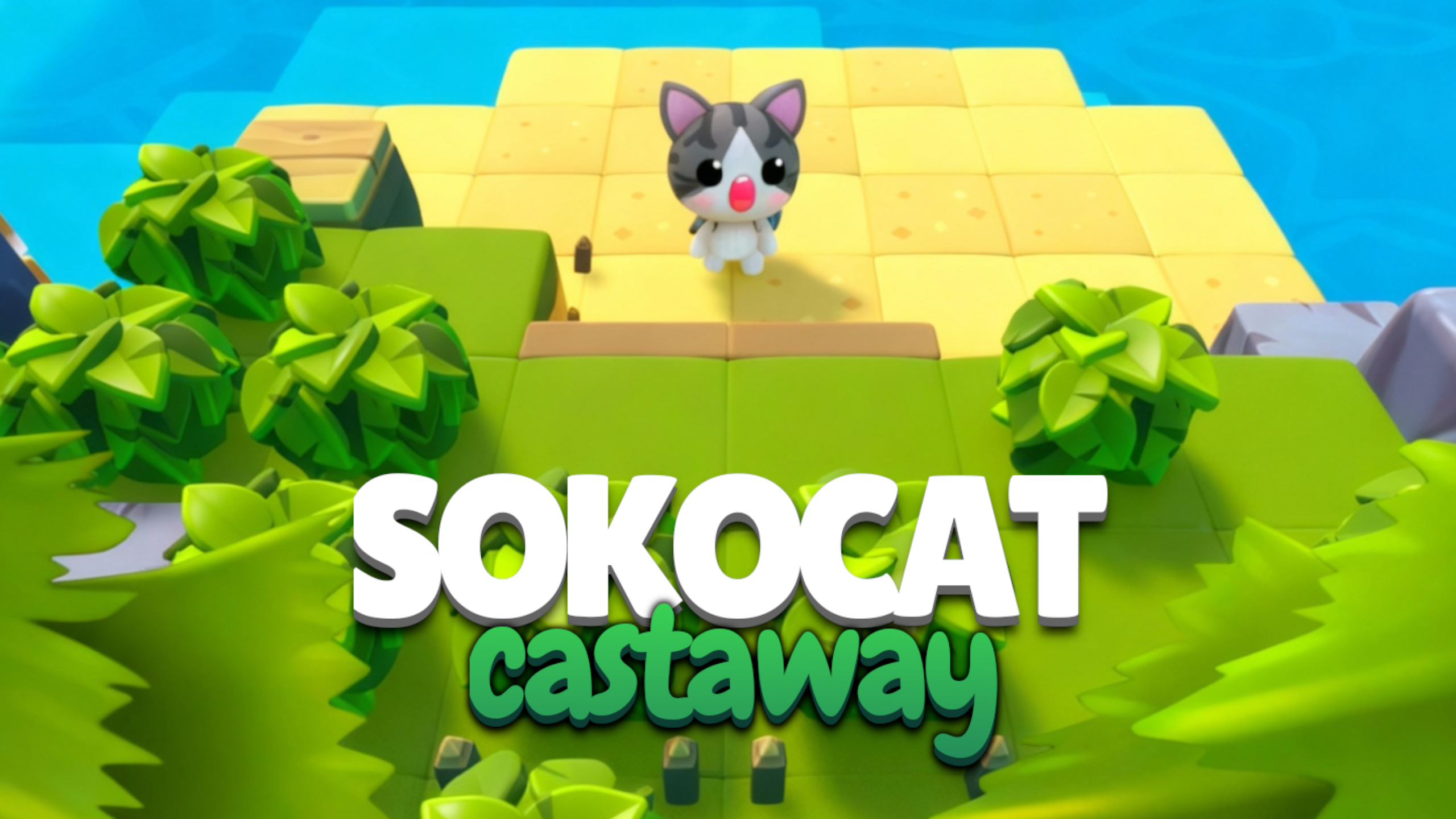 Sokocat Castaway