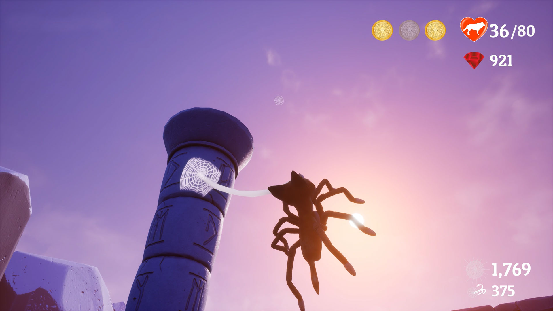 Spider Fox-1jsbb