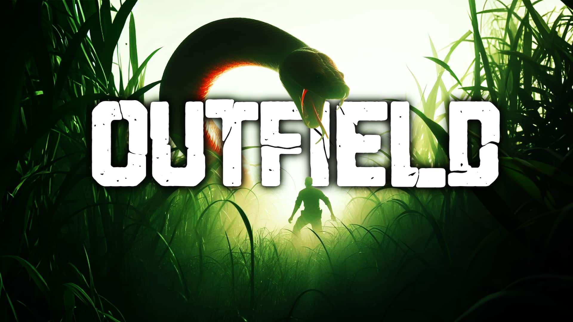 Outfield