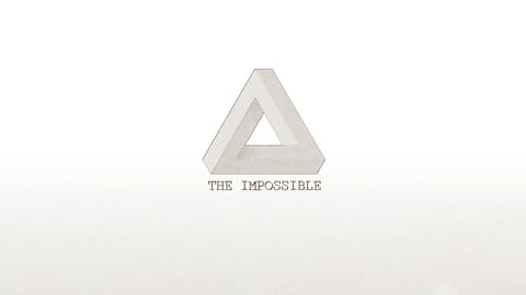 THE IMPOSSIBLE