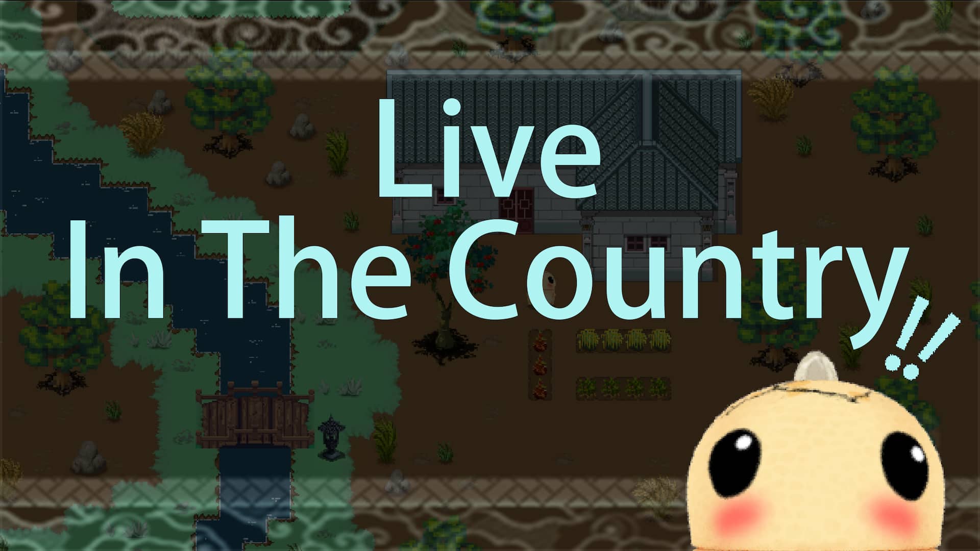 Live In The Country