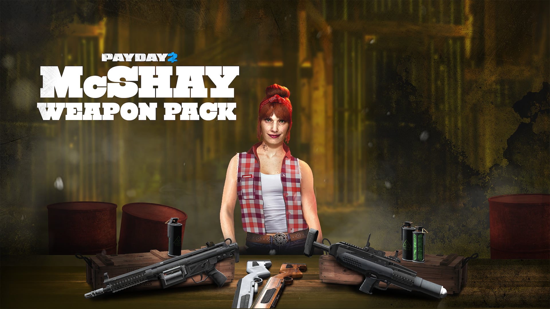 PAYDAY 2: McShay Weapon Pack