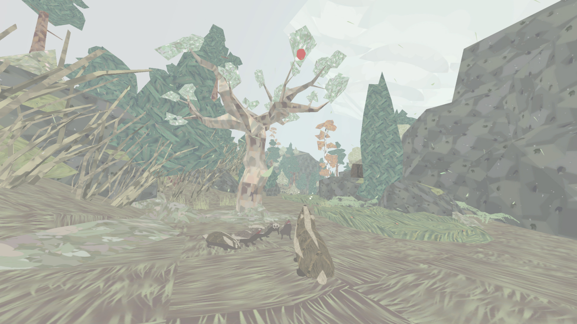 Shelter: An Animal Adventure-13lja