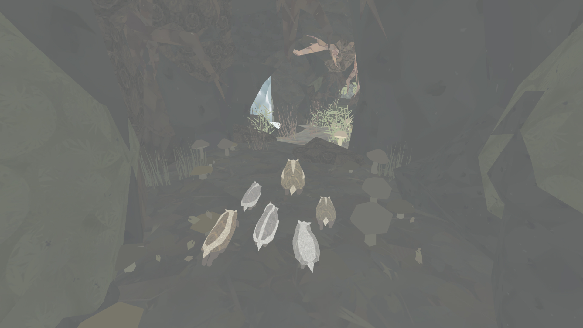 Shelter: An Animal Adventure-1qd44