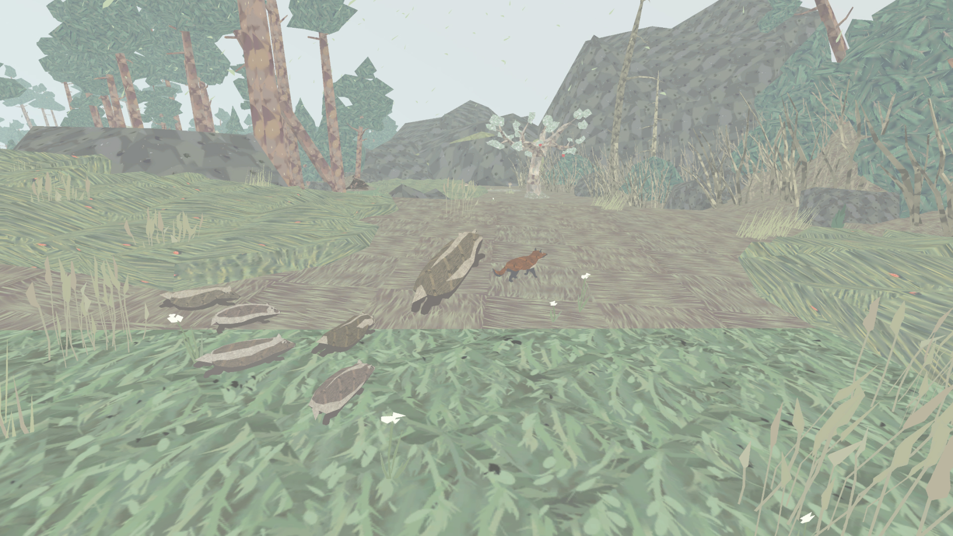Shelter: An Animal Adventure-1tmpi