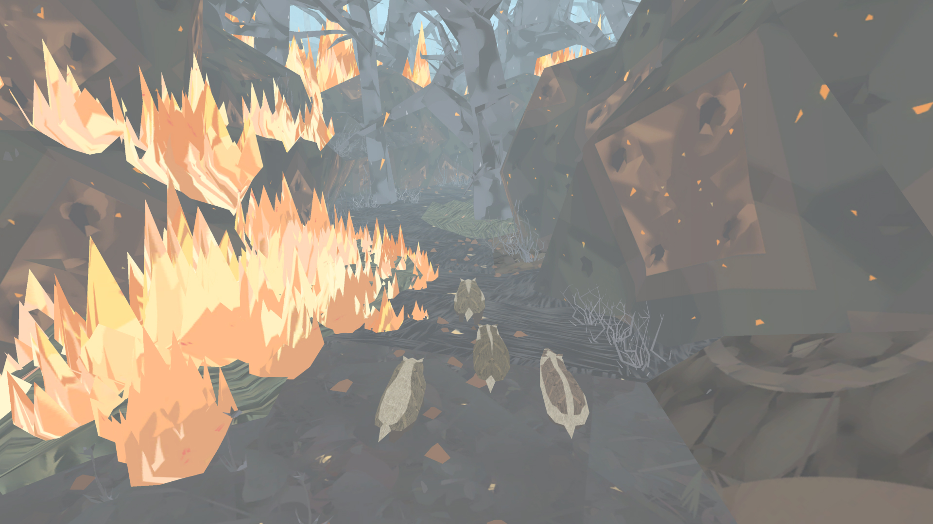 Shelter: An Animal Adventure-pej8y