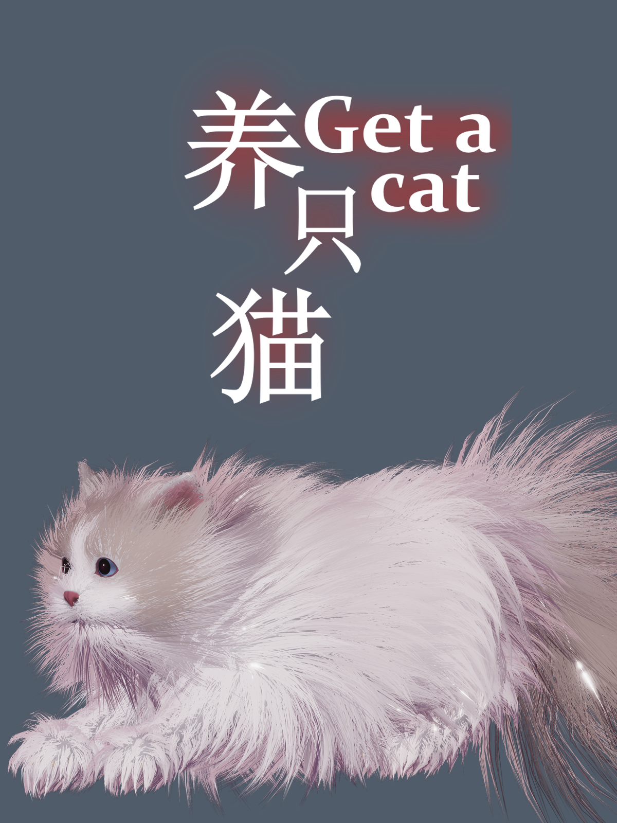 Get a cat
