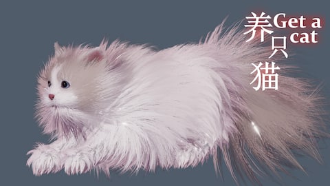 Get a cat
