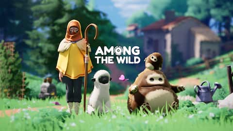 Among The Wild