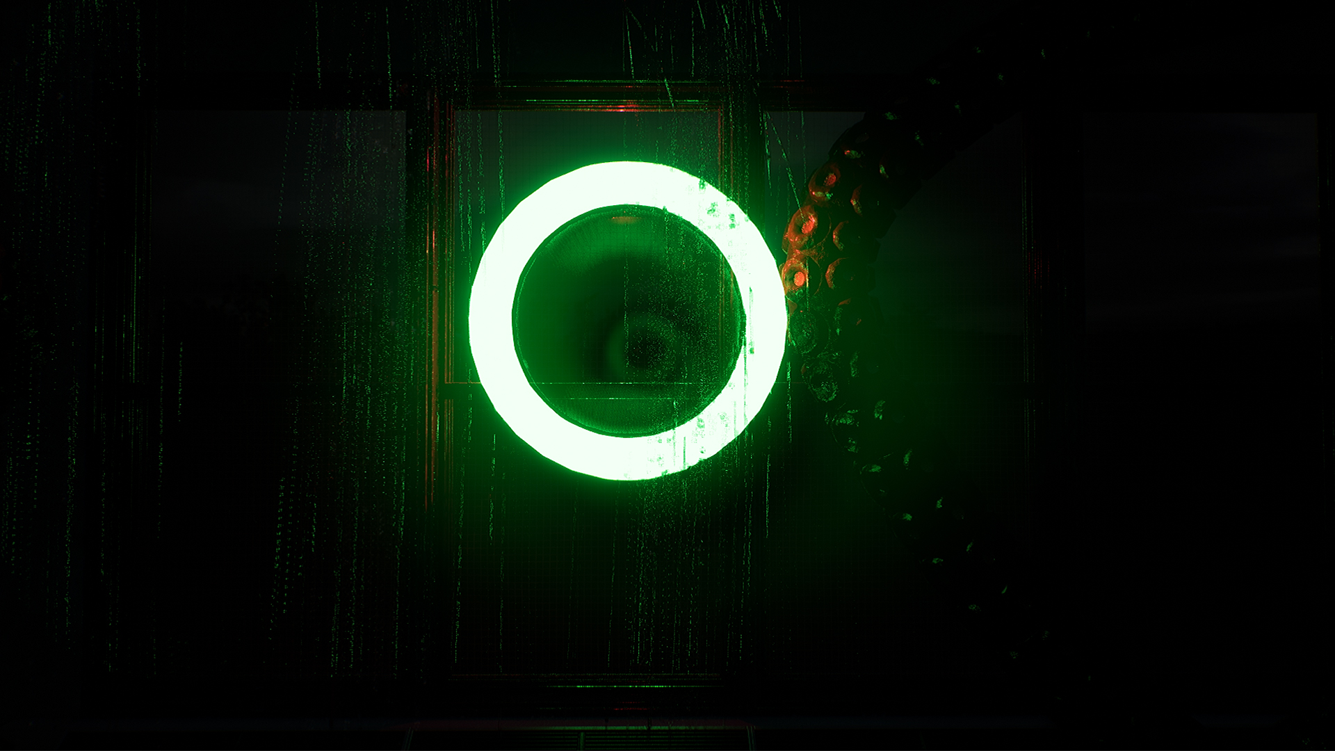 The Green Light-yq9dn