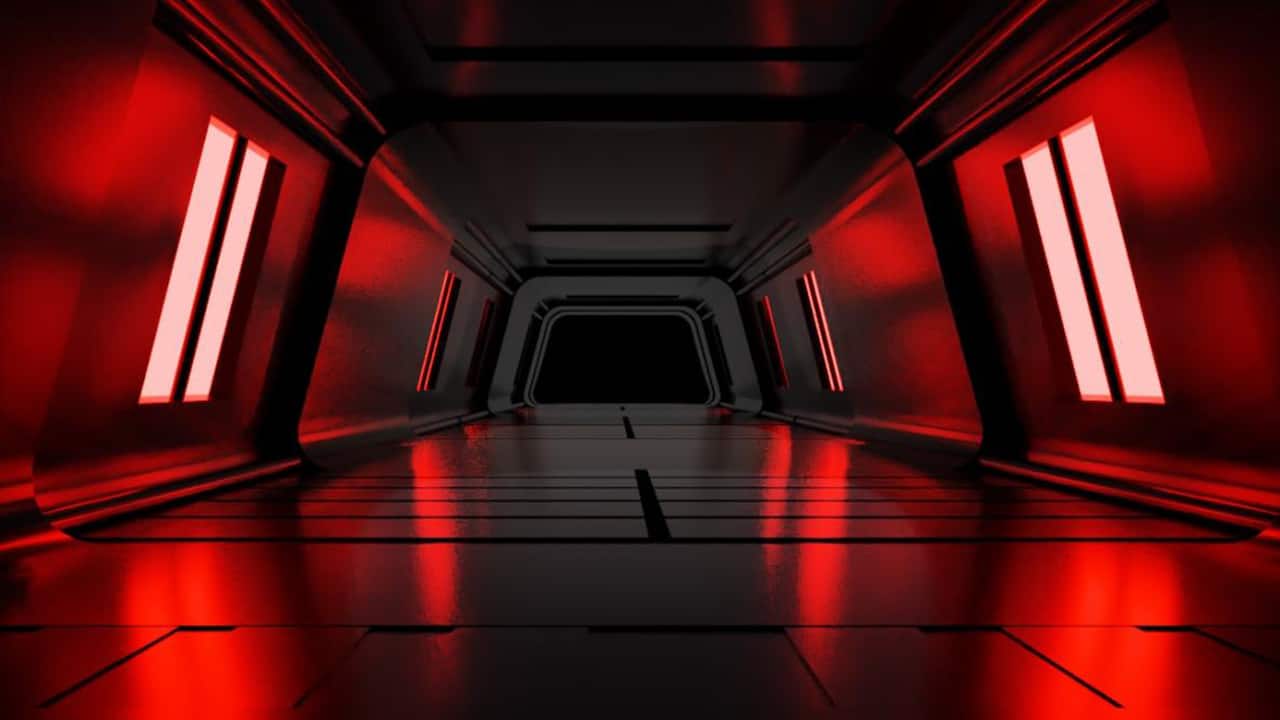 Survive The Unknown-ylri9