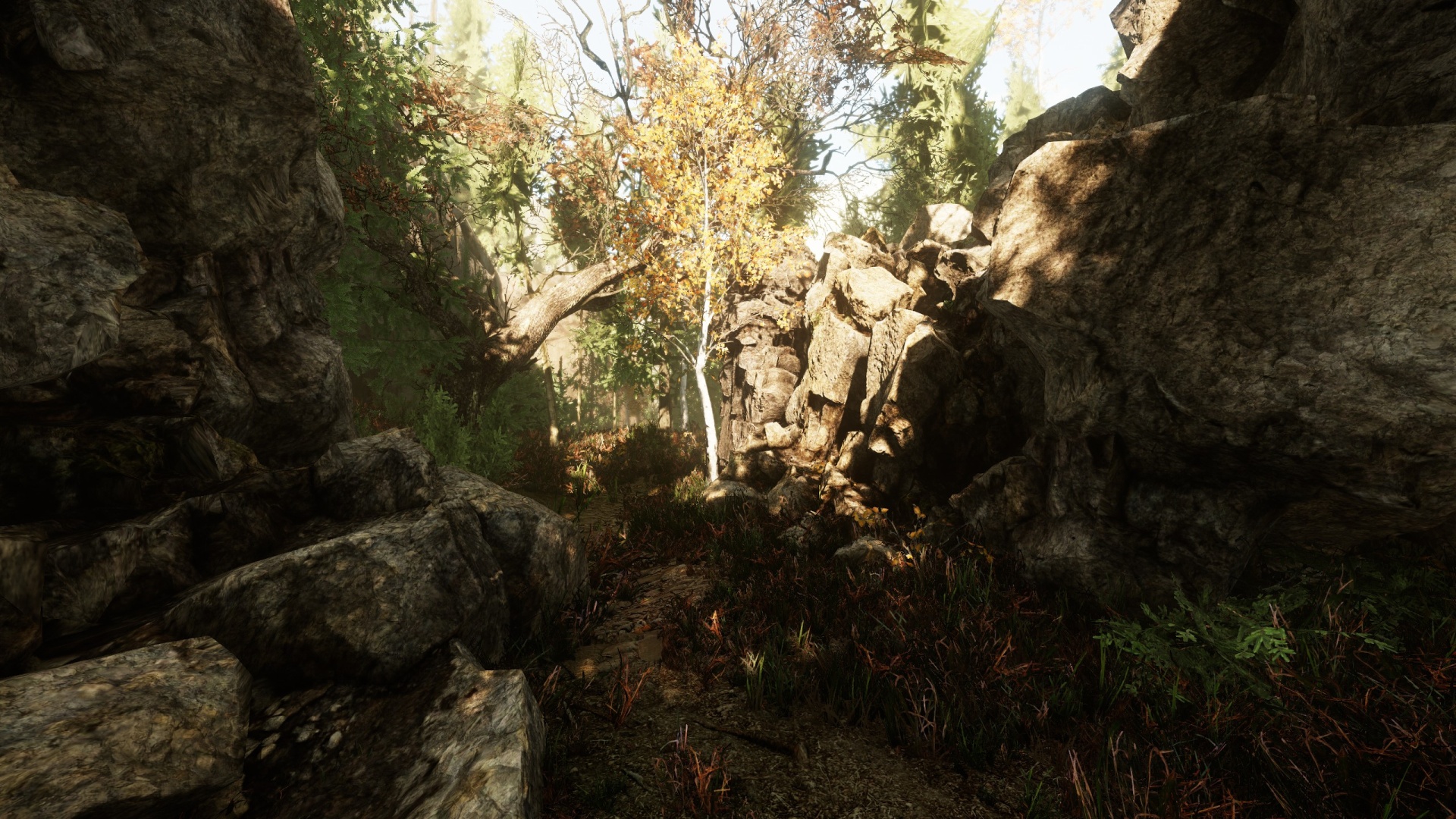 The Land of Pain-hf7z1