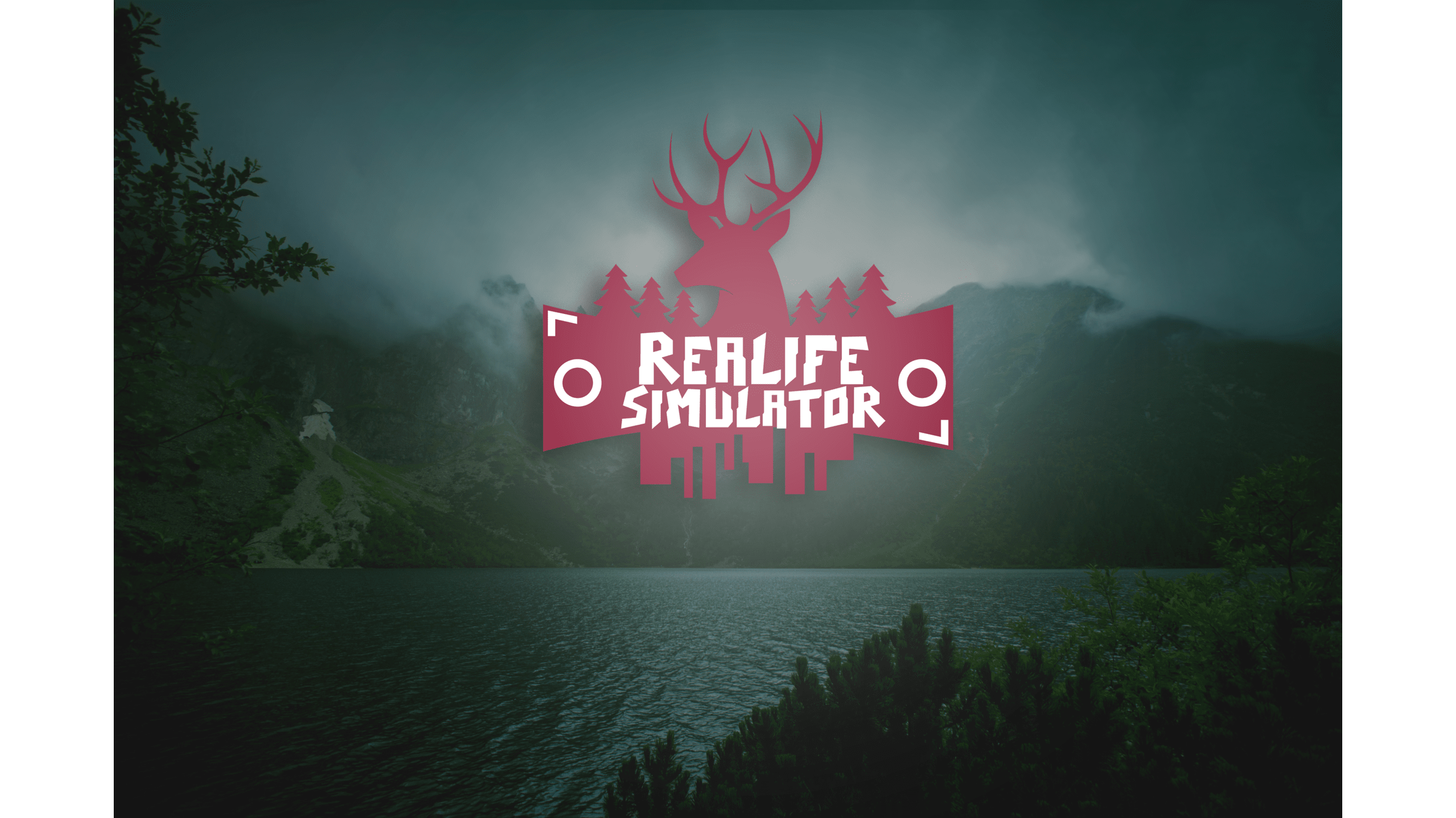 Realife Simulator