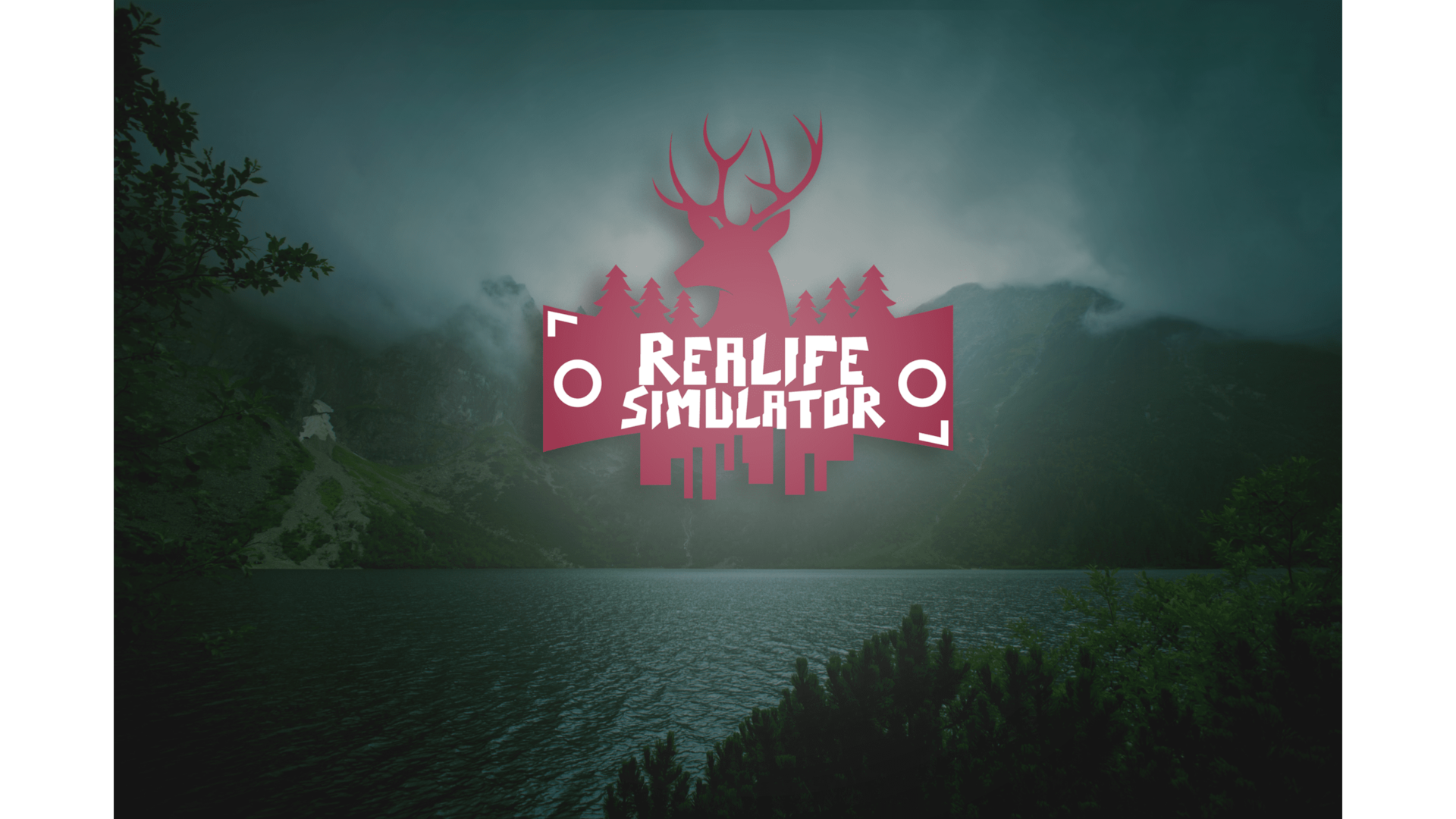 Realife Simulator