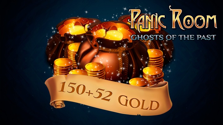 Bag with gold coins [Panic Room: Ghosts of the Past]