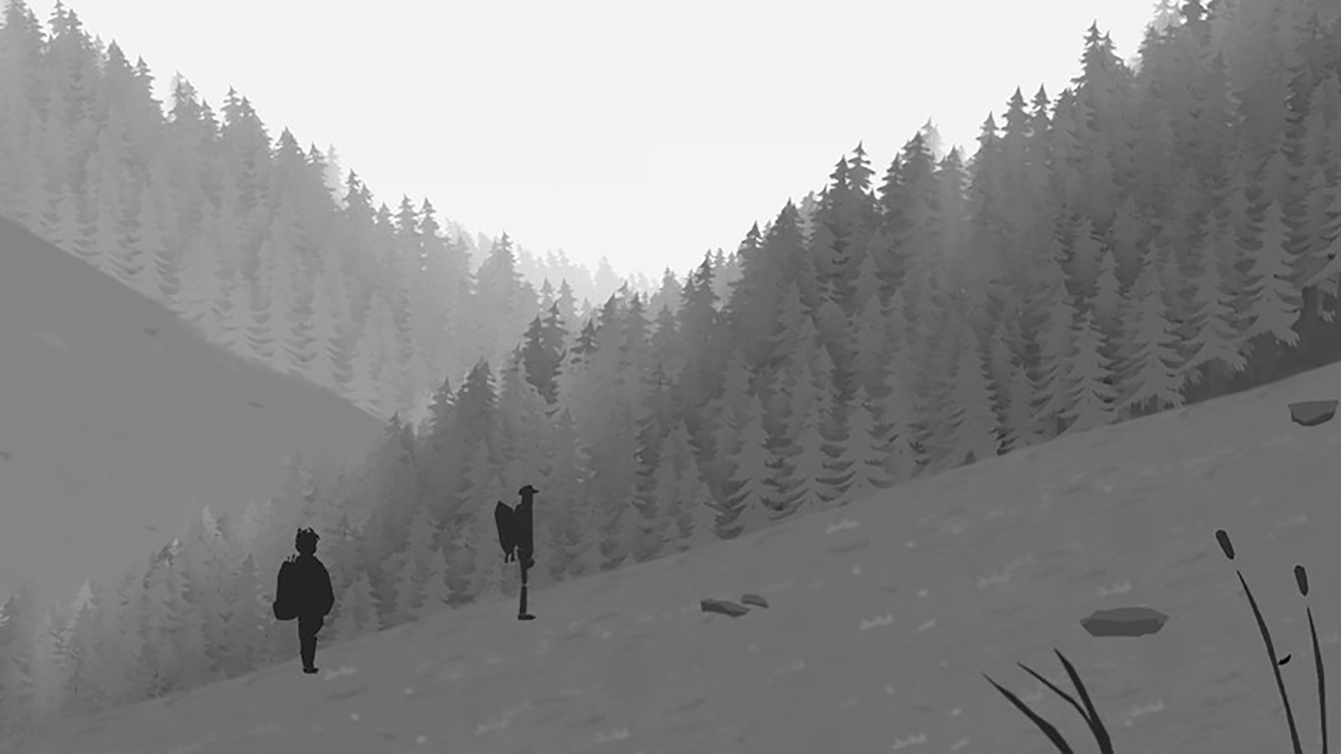 TrekkingAndCamping-zdgzi
