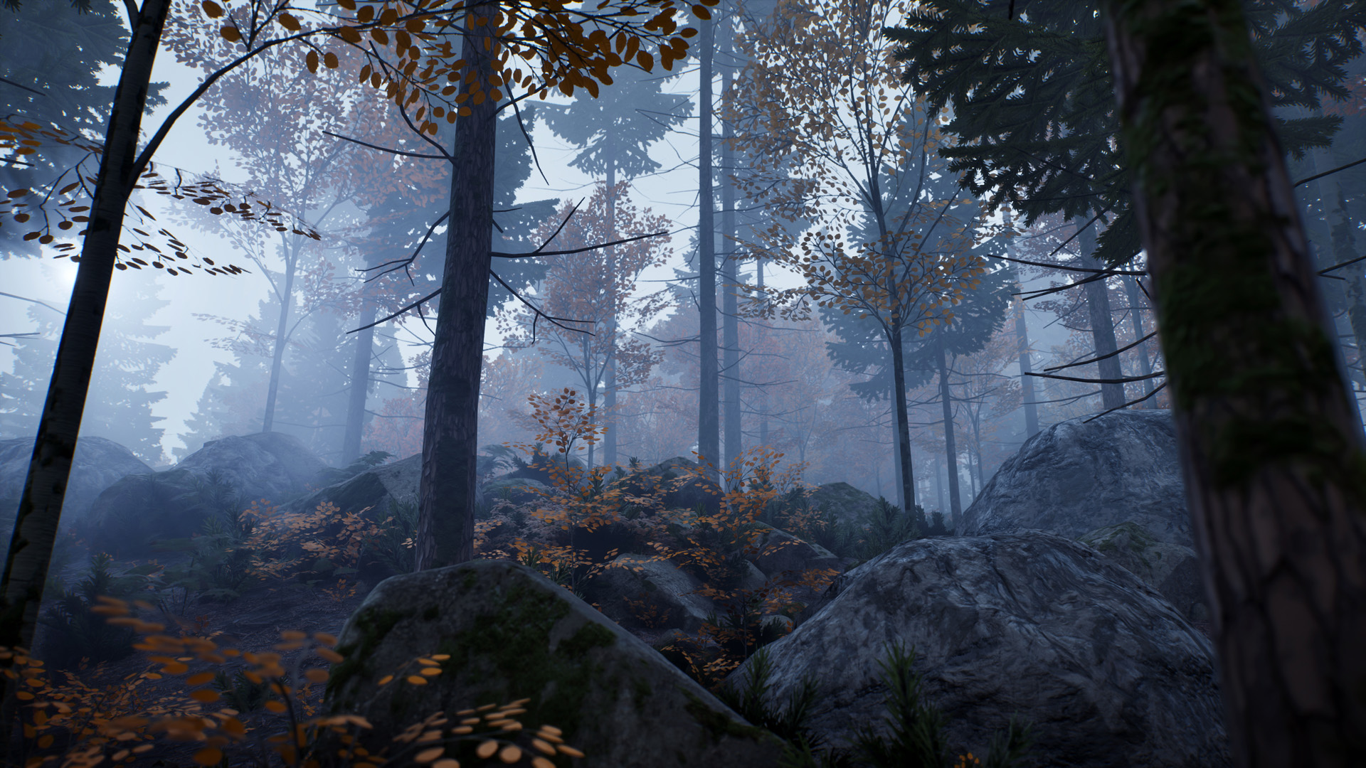 098f6bcd4621d373cade4e832627b4f6